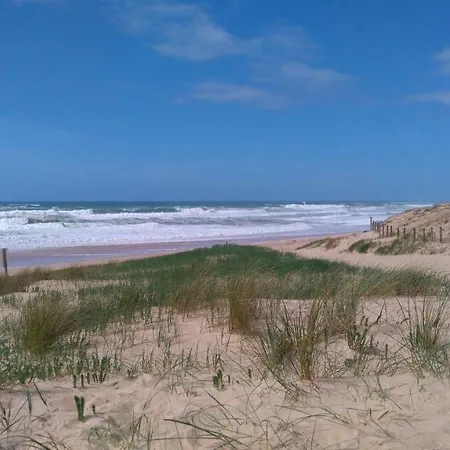 Les Dunes De Contis 4 Etoiles Saint-Julien-en-Born Exterior photo